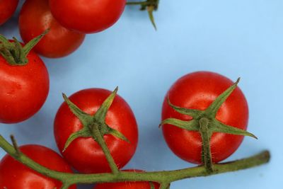 Close-up of tomatoes