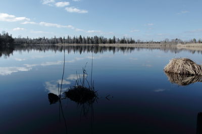 Reflection of trees in calm lake