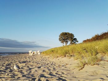 Scenic view of beach against clear blue sky
