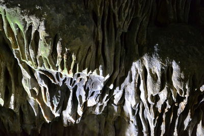 Close-up of cave