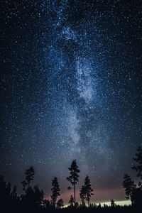 Low angle view of silhouette trees against sky at night