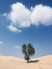 Scenic view of desert against sky