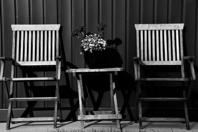 Potted plants on table