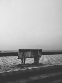 Horse standing against sky