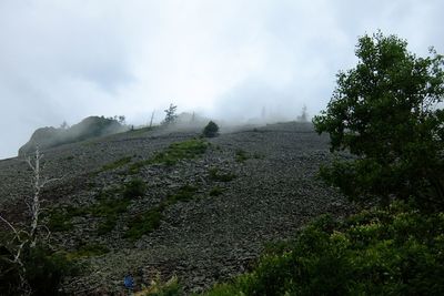 Scenic view of tree mountains against sky