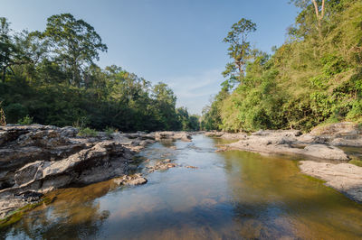 Scenic view of waterfall in forest against sky