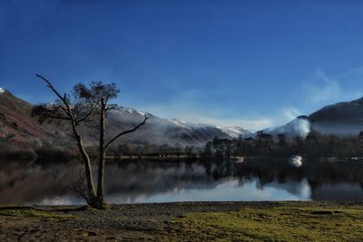 Scenic view of lake by trees against blue sky