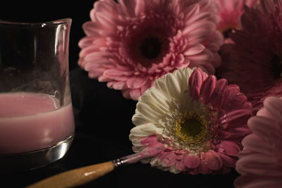 Close-up of pink roses on table