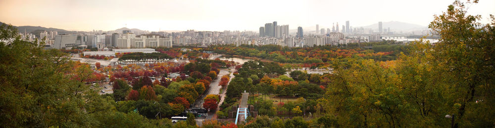 High angle view of trees and buildings in city