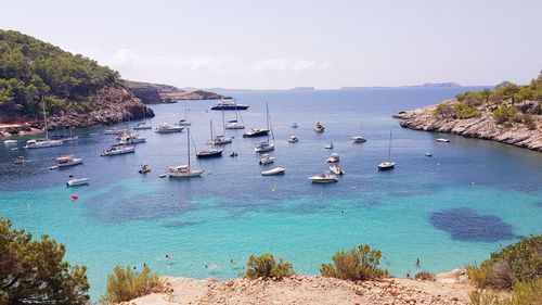 Boats moored in sea against sky