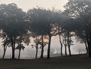 Silhouette trees on field against sky