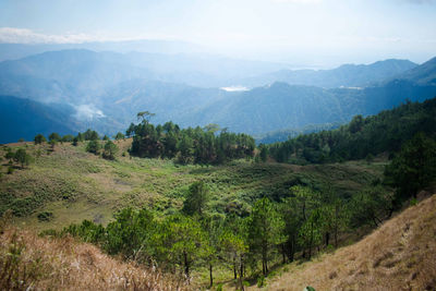 Scenic view of landscape and mountains against sky