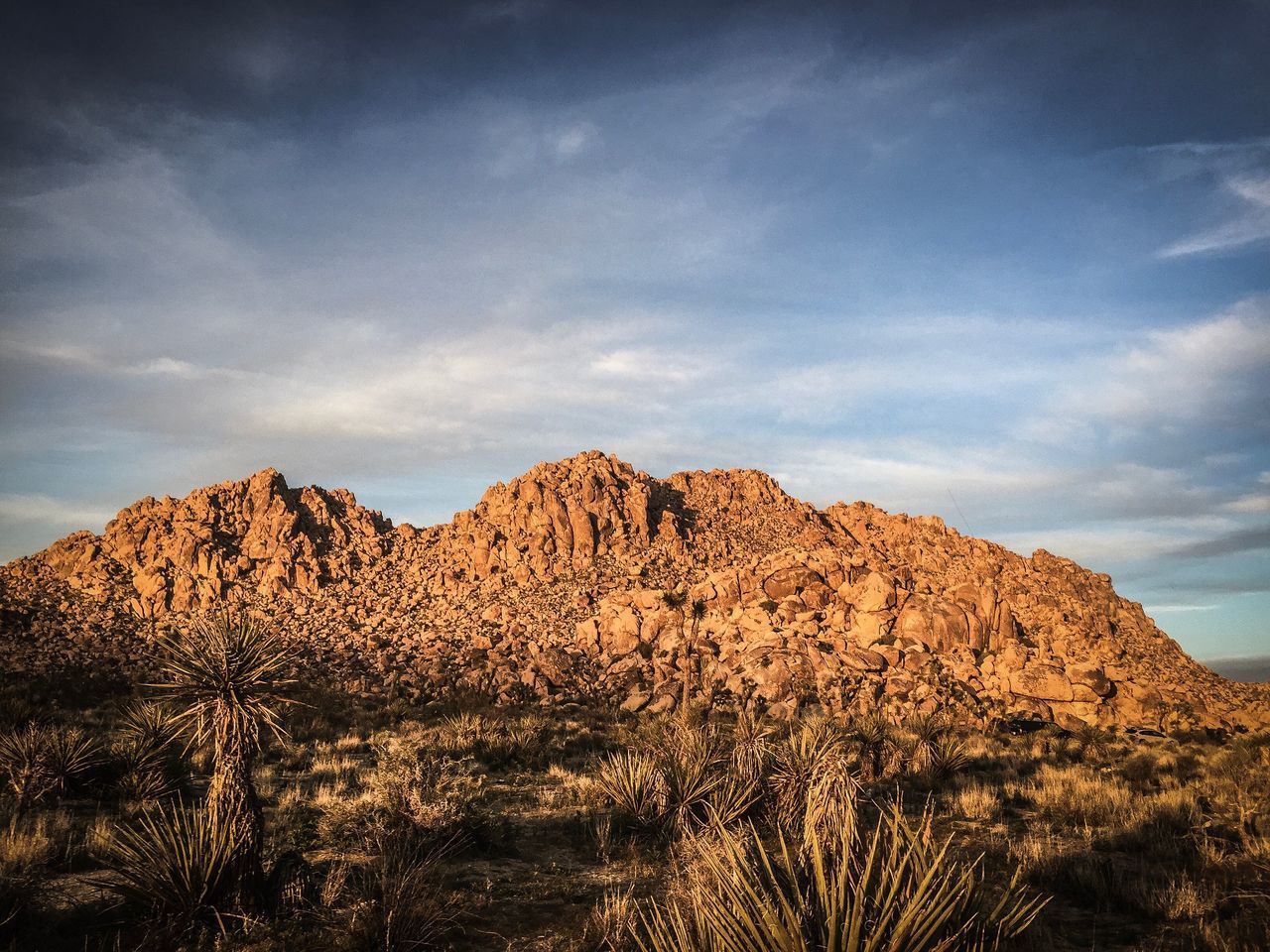 Desert, landscape,