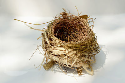 Close-up of bird nest