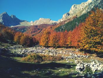 Scenic view of lake against sky during autumn