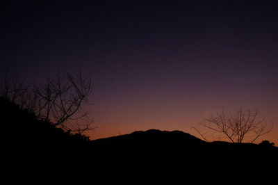 Low angle view of silhouette trees against sky at night