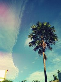 Low angle view of palm trees against blue sky