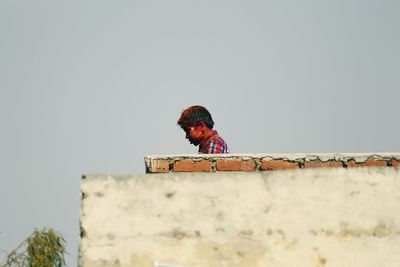 Low angle view of bird perching on retaining wall against clear sky