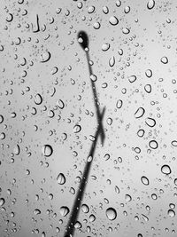 Close-up of water drops on glass