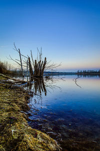 Scenic view of lake against clear blue sky