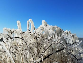 Low angle view of blue sky