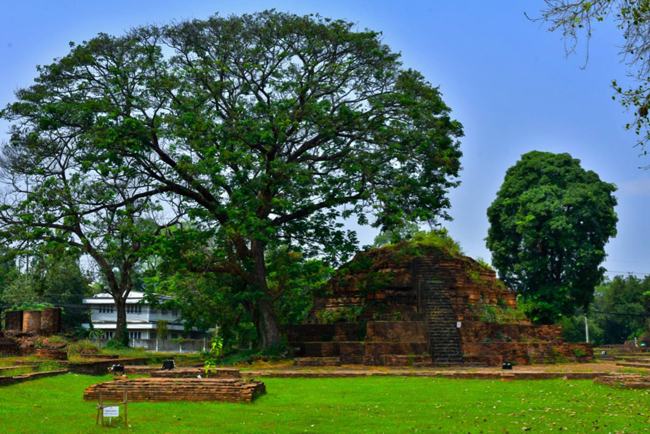 GAZEBO IN TEMPLE