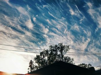 Low angle view of tree against sky