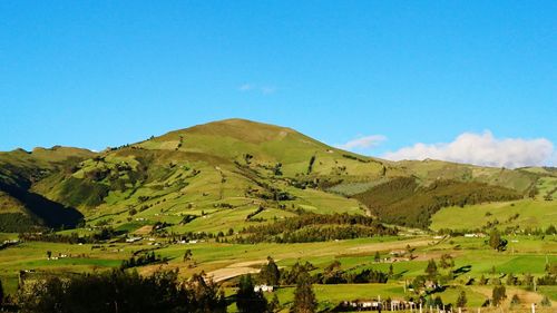 Scenic view of landscape against clear blue sky