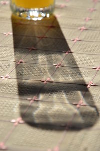 Close-up of plant against blurred background