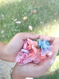 Close-up of hand holding pink flower