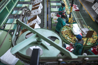 Women working in apple factory