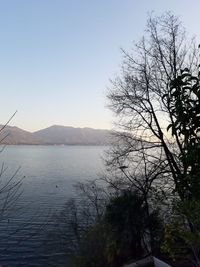 Scenic view of lake against clear sky