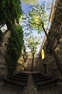 Steps leading to building