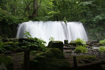 Scenic view of waterfall in forest