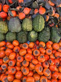 Beautiful and delicious vegetables