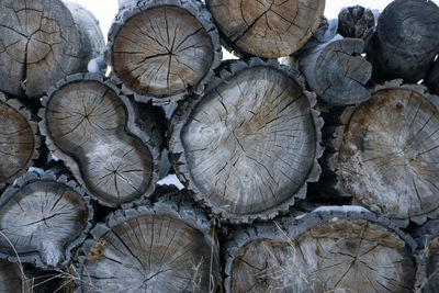Full frame shot of logs