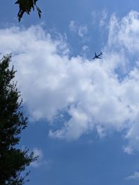 Low angle view of airplane flying in sky