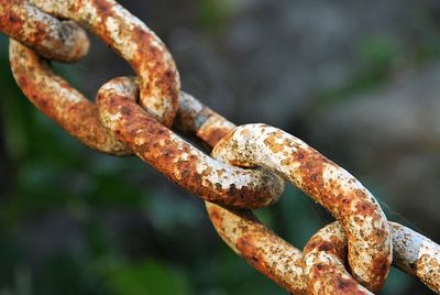 Close-up of rusty metal chain