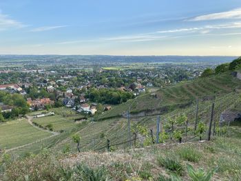 View from schnecke snail vineyard to the elbe valley radebeul 