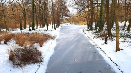 Road amidst bare trees during winter