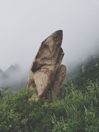 Scenic view of land against sky