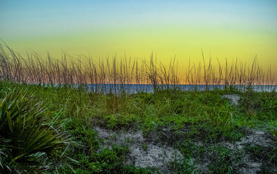 Scenic view of sea against clear sky during sunset