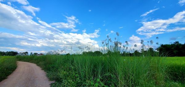 Scenic view of land against sky