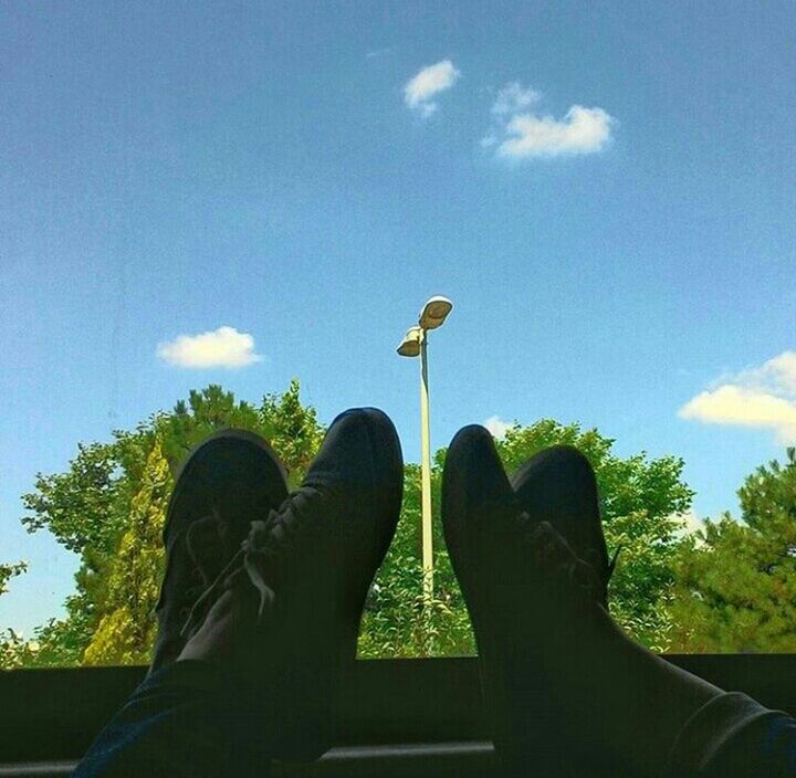 sky, low angle view, tree, cloud - sky, blue, cloud, personal perspective, green color, growth, men, nature, outdoors, day, sunlight, unrecognizable person, lifestyles, silhouette