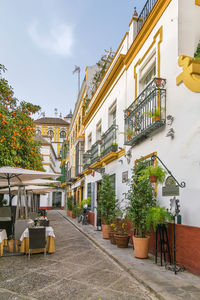 Street in sevilla old town, andalusia, spain