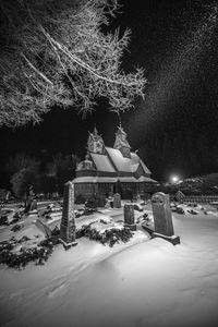 Snow on illuminated tree at night during winter