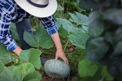 Midsection of man standing amidst plants