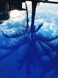 Low angle view of palm tree against sky