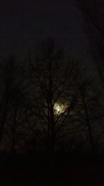 Low angle view of bare trees against sky at night