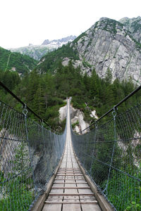 Footbridge amidst trees and mountains